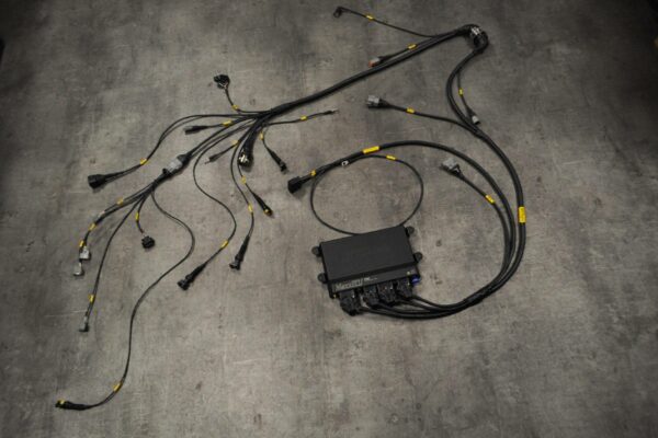 Faisceaux Motorsport moteur