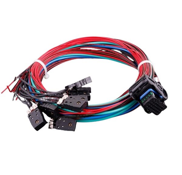 Faisceau universel MaxxECU RACE #2