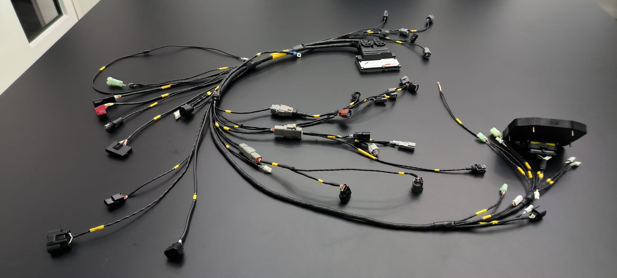 Faisceau Honda CBR600R WSS NG