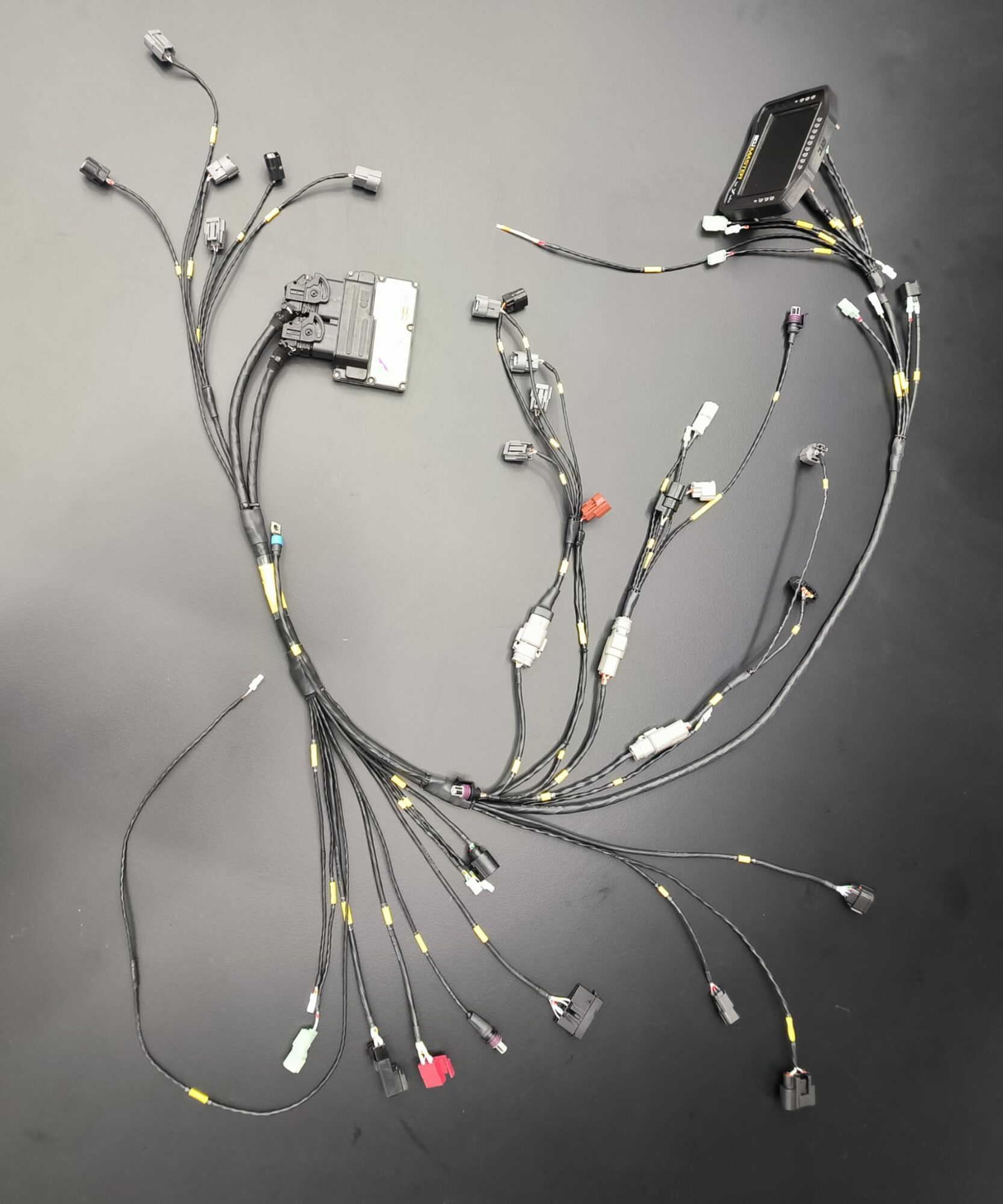 Faisceau Honda CBR600R WSS NG – Image 4