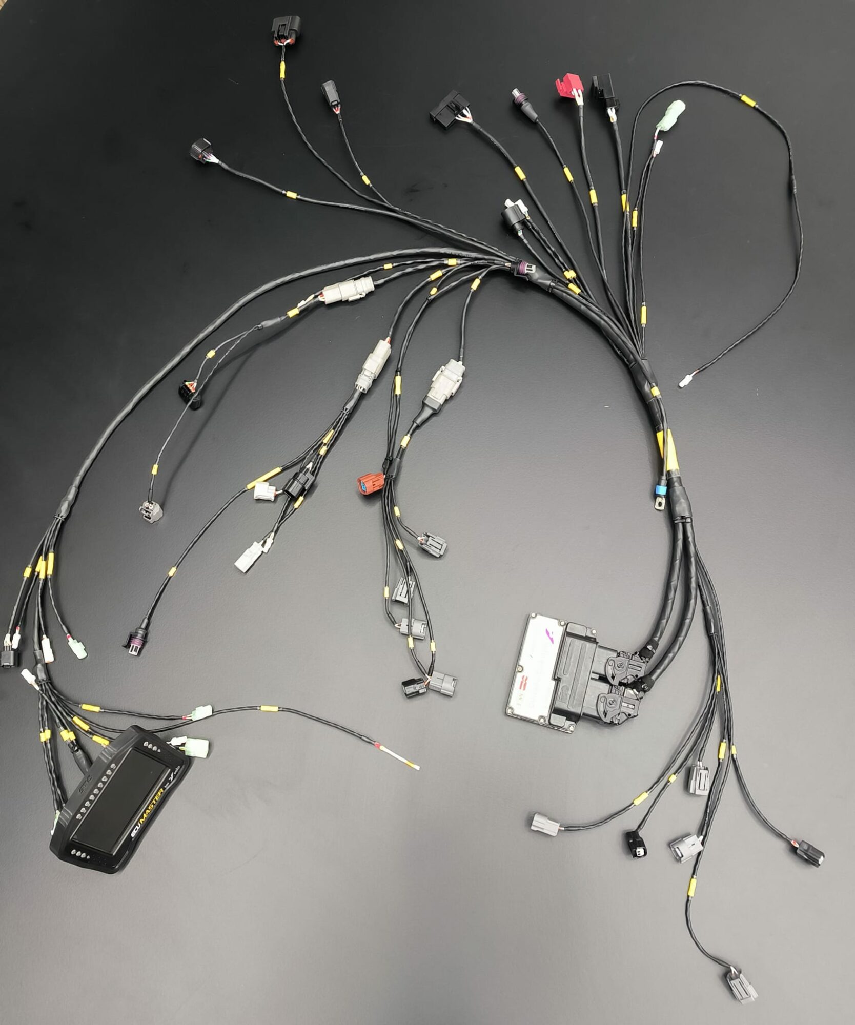 Faisceau Honda CBR600R WSS NG – Image 6